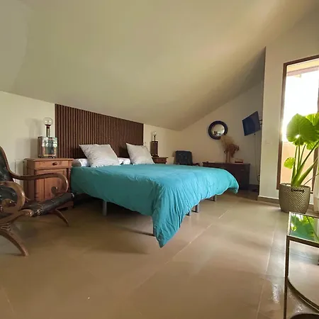 Teja Vieja Duruelo